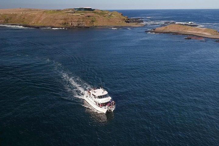 Croisière d'observation des phoques de Phillip Island