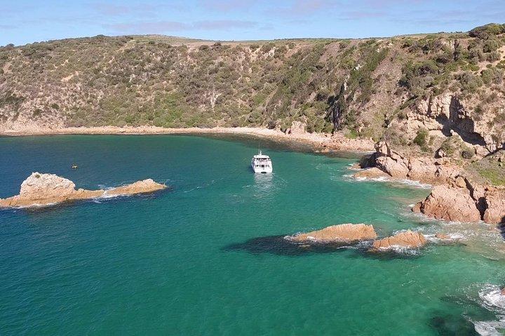 Crucero turístico de Woolamai desde San Remo