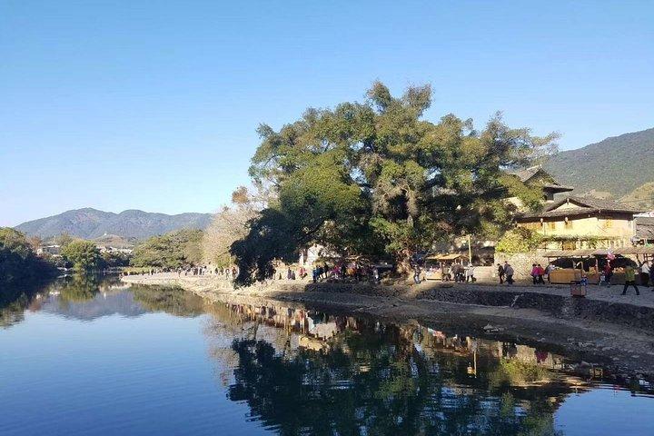 Excursion privée d'une journée au château de Nanjing Tulou, au vieux village de Yun Shui Yao au départ de Xiamen