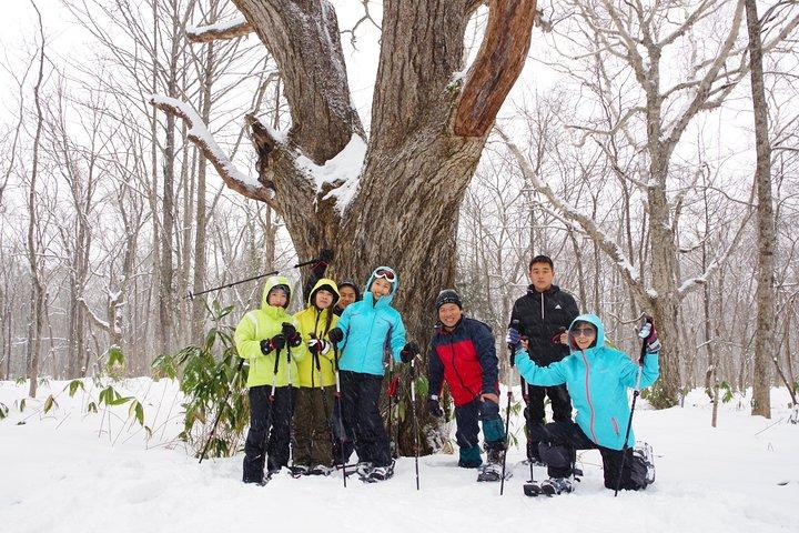 Excursão especial de inverno de Nagano "Macaco da neve e caminhadas com raquetes de neve" !!
