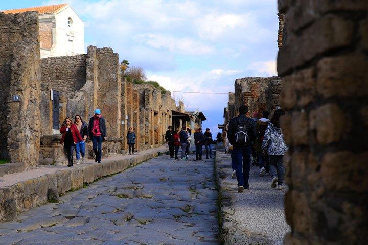 Rom til Pompeii & Herculaneum tur med Hotel Pickup & Skip-the-line billetter