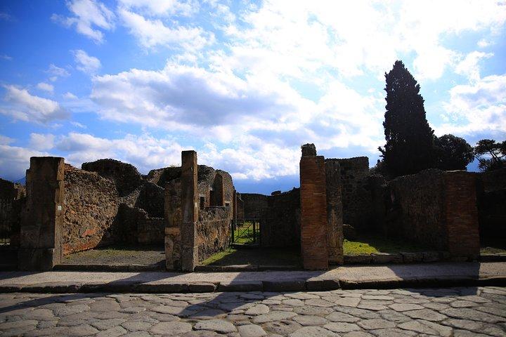 Rom til Pompeii & Herculaneum tur med Hotel Pickup & Skip-the-line billetter