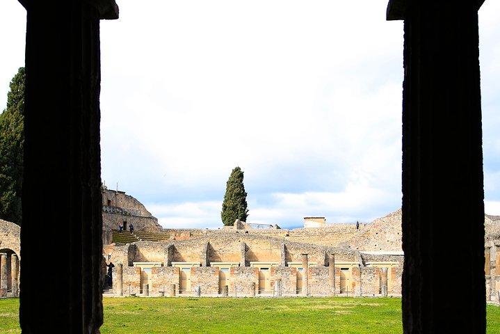 Rom til Pompeii & Herculaneum tur med Hotel Pickup & Skip-the-line billetter