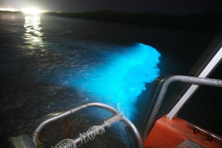 Excursão Luminous Lagoon "Glistening Waters" de Montego Bay Hotels