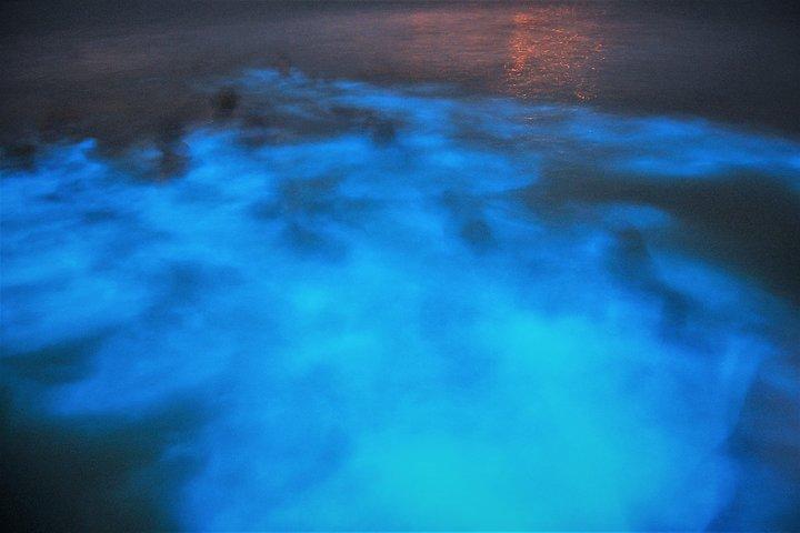 Excursão Luminous Lagoon "Glistening Waters" de Montego Bay Hotels