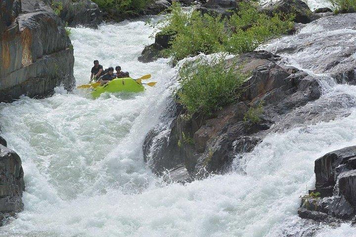 Middle Fork American River - Full Day Rafting Trip (Clase 4)