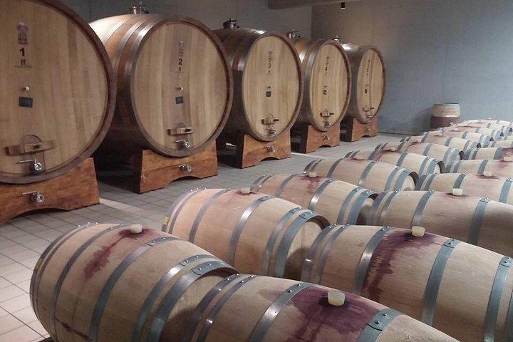 Wine Tour - O Melhor da Ístria