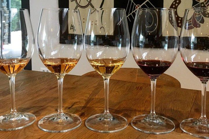 Weintour - Das Beste aus Istrien