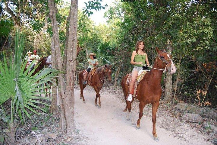 Équitation Jaco Beach