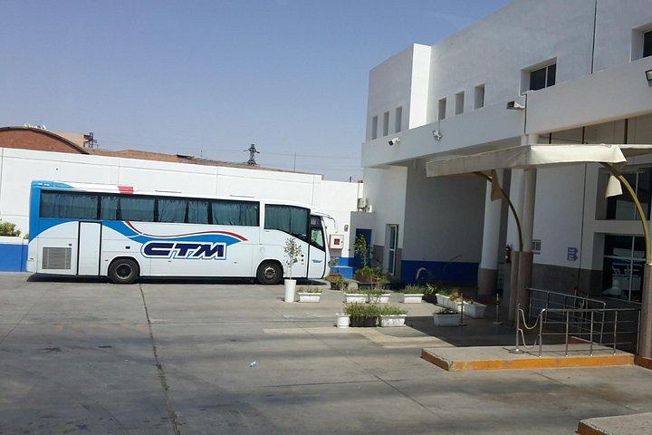 Private transfer from CTM bus to your Hotel in Fez city