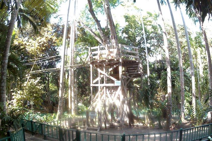 Zip Line over Dunns River Falls