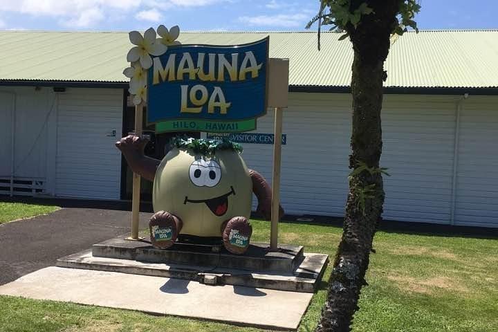 Oahu till Big Island: Big Island Volcano Helicopter Tour & Hilo 1 Day Tour
