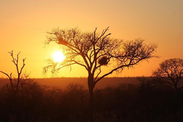 3-daagse Kruger National Park-tour
