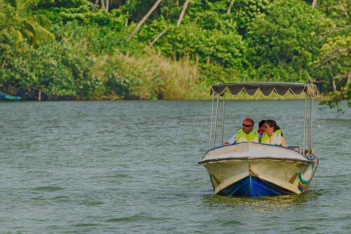 Madu-riviersafari in Balapitiya