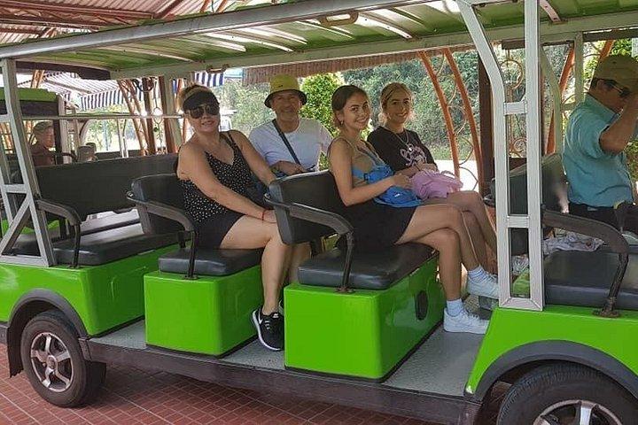 マイソンモーニングプライベートツアー（ダナンまたはホイアンシティから7:30 a.m〜11:45 a.m）