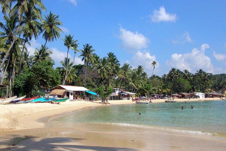 Excursión privada de un día desde Colombo para visitar la ciudad de Galle, Sri Lanka