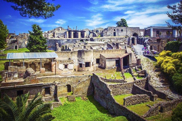 Pompeii and Herculaneum Ruins Private Tour