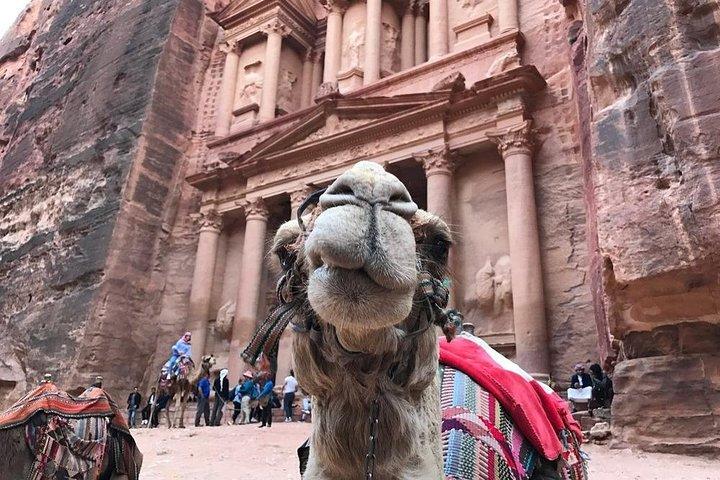 アカバ空港からのヨルダン南部ツアーのベスト5日間