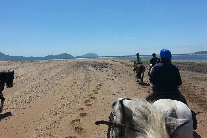 Killarney National Park Ridning. Co Kerry. Guided. 2 timer.