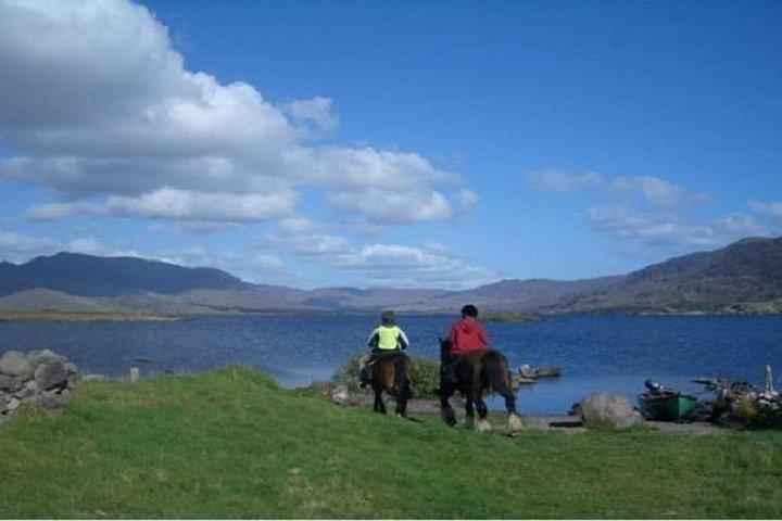 Killarney National Park Ridning. Co Kerry. Guided. 2 timer.