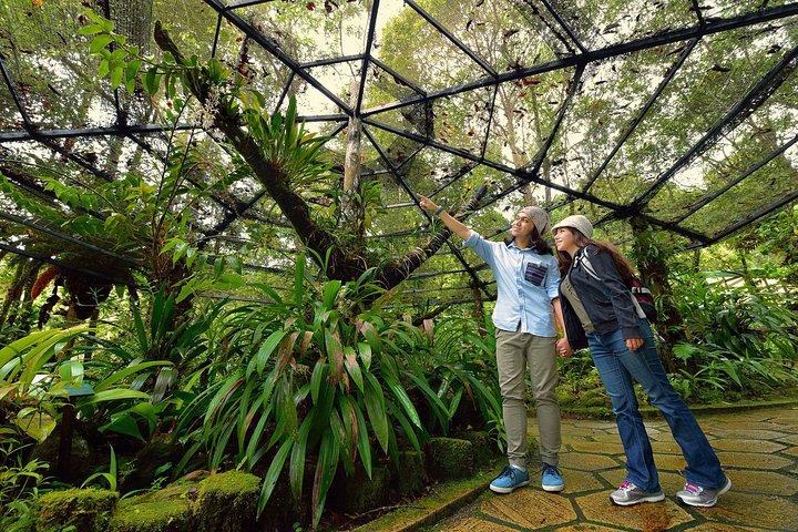 Día completo de Kinabalu Park y Poring Hot Spring Day Trip