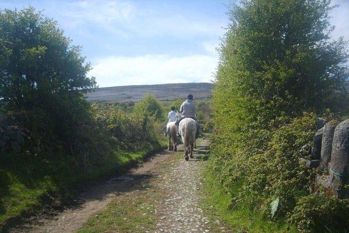 乗馬-マウンテントレイル。 Lisdoonvarna、Co Clare。ガイド付き。 2時間。