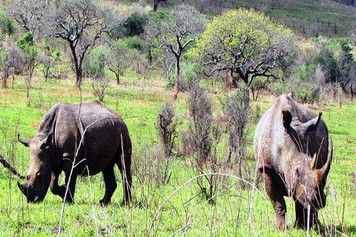 Tour safari di 2 giorni
