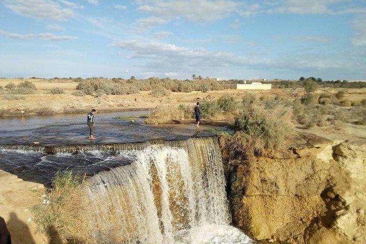Egypt Oasis: Tour zur El Fayoum Oasis und zum Wadi al Rayan