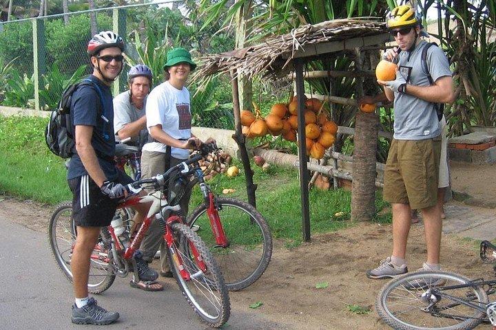 ベントータの田舎サイクリング