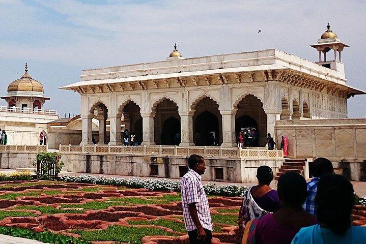 Taj Mahal en Agra Fort met Mother Teresa's Missionaries Of Charity From Delhi