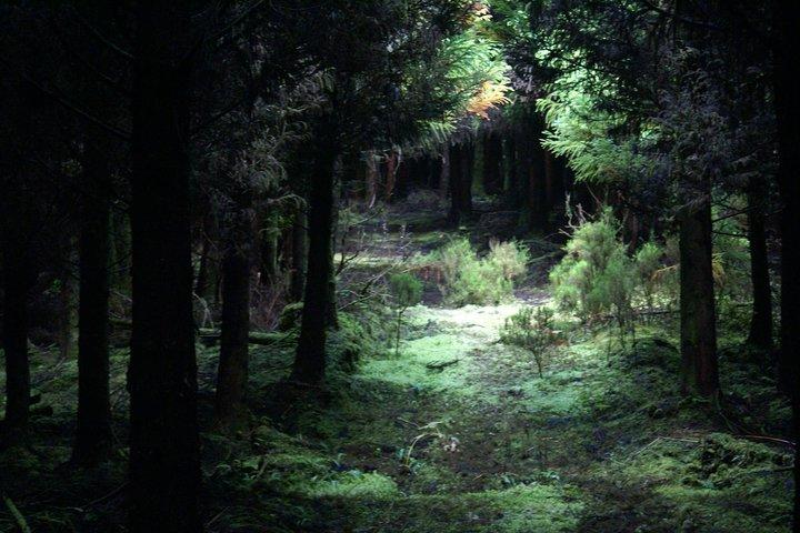 Vandrestier i Terceira