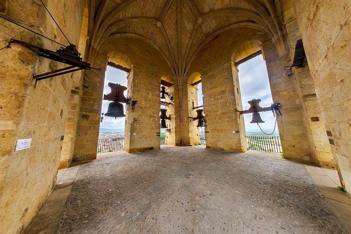 Guided Tour to Tower/Visita Guiada a la Torre