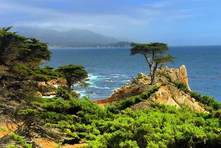 Visite de Carmel / Monterey Hwy 1