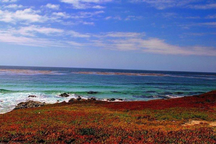 Visite de Carmel / Monterey Hwy 1