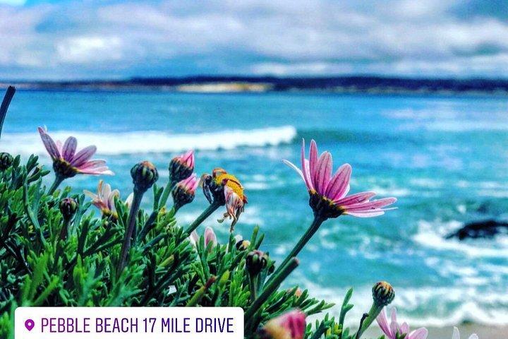 Carmel / Monterey Hwy 1 tour