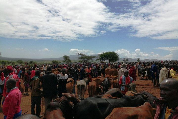 Excursion d'une journée dans le village Masai de Nairobi