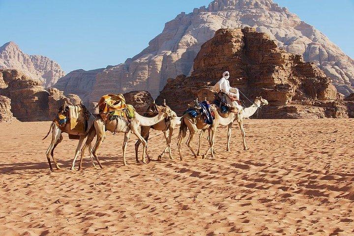 Excursión de un día a Petra y Wadi Rum desde Ammán