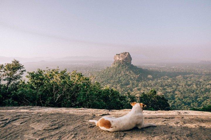 Pidurangala Tagestour von Negombo