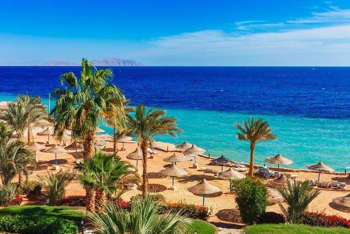 private over day tour From Luxor to Hurghada