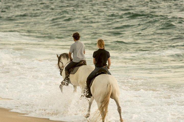 Privat Alentejo-tur med frokost og ridetur langs Melides Beach
