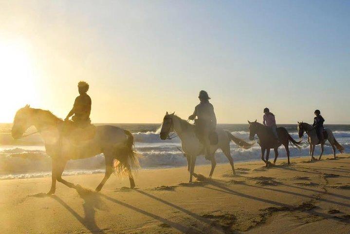 Privat Alentejo-tur med frokost og ridetur langs Melides Beach