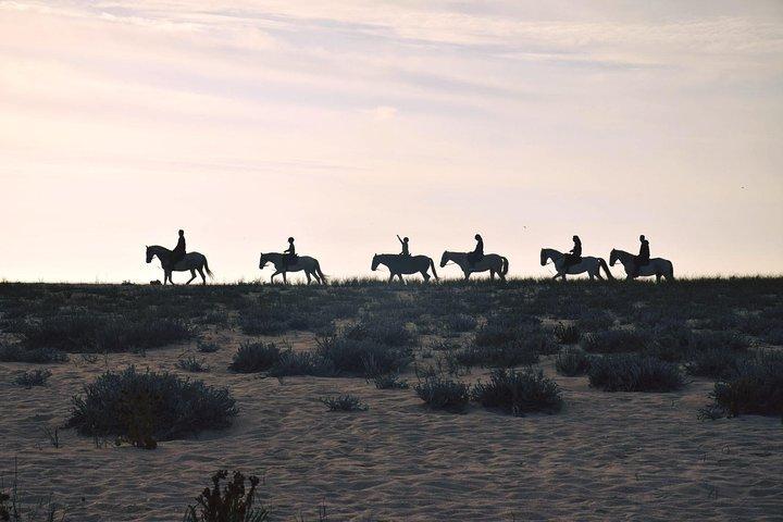Privat Alentejo-tur med frokost og ridetur langs Melides Beach