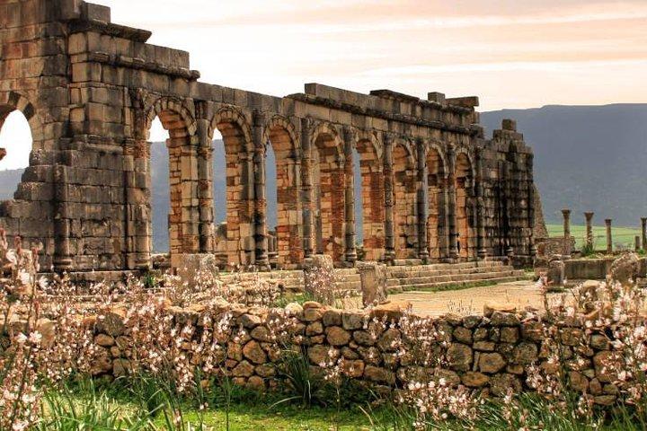 Excursions Volubilis - Moulay Idriss - Meknès (departure Fès)