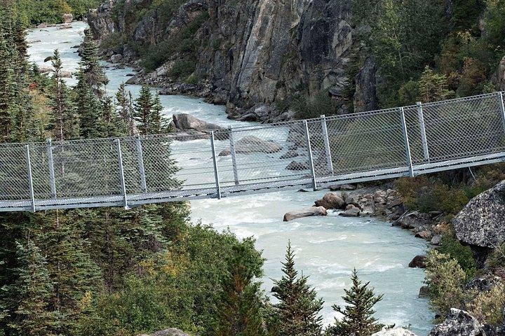 Yukon Suspension Bridge and Summit Tour