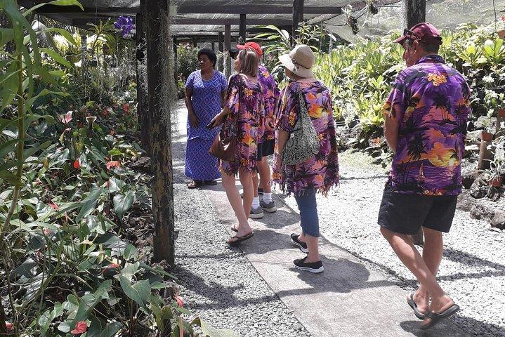 Nadi Sightseeing & Schlammbad-Tour