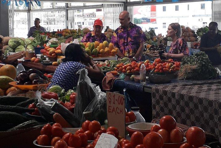 Nadi Sightseeing & Schlammbad-Tour