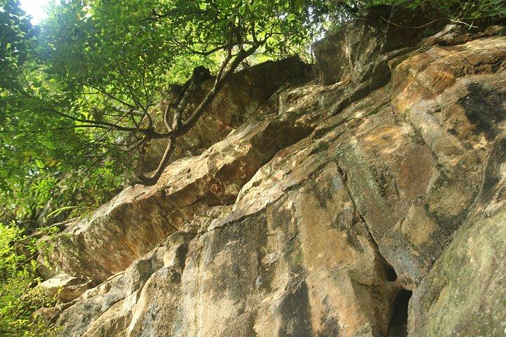 Forest waterfall Wellness Zone & Yoga Meditation,waterfall Bath.