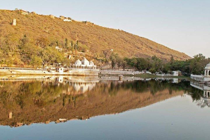 Udaipur: Privat fulddags sightseeing tur med flere muligheder
