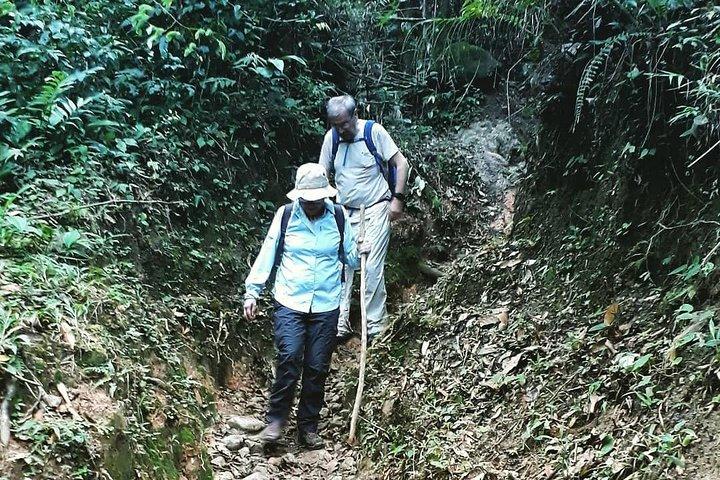 Visite privée - La route de la Caldera (originale et primée)