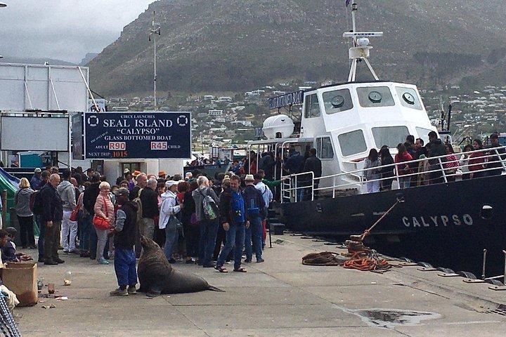Cape Peninsula E-bike Cycle with Vehicle - Private Tour